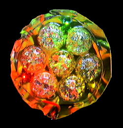 ���������̏Ɩ��̎���i�̎ʐ^12�@(18,2KB)