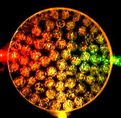 ���������̏Ɩ��̎���i�̎ʐ^13�@(20,4KB)