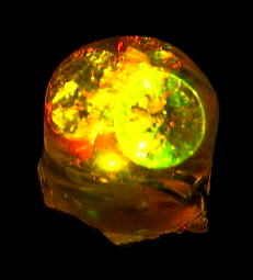 ���������̏Ɩ��̎���i�̎ʐ^14�@(9,28KB)