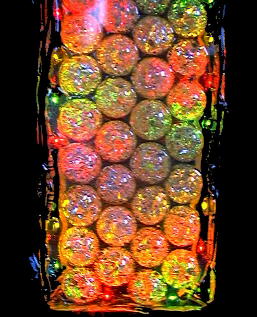 ���������̏Ɩ��̎���i�̎ʐ^17�@(27,2KB)