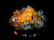 ���������̏Ɩ��̎���i�̎ʐ^24�@(8,68KB)