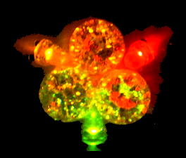 ���������̏Ɩ��̎���i�̎ʐ^�T�@(10,5KB)