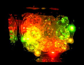 ���������̏Ɩ��̎���i�̎ʐ^�U�@(12,9KB)