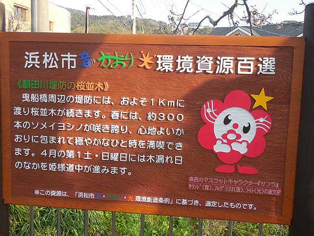 ���̉Ԃ̖���