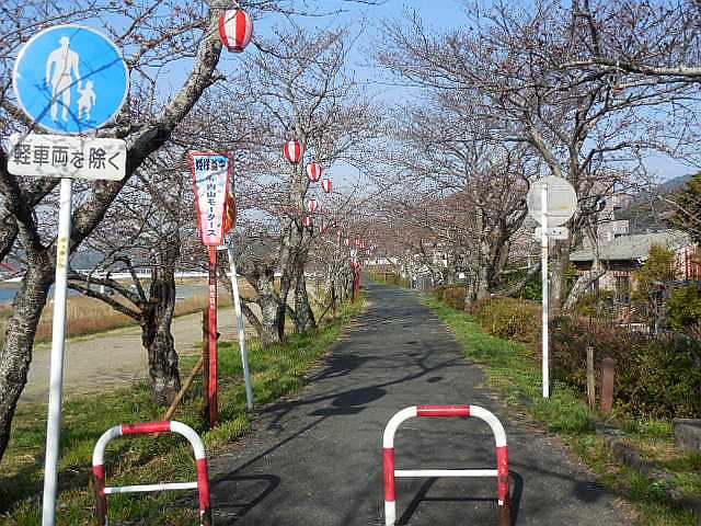 ���̉Ԃ̖���