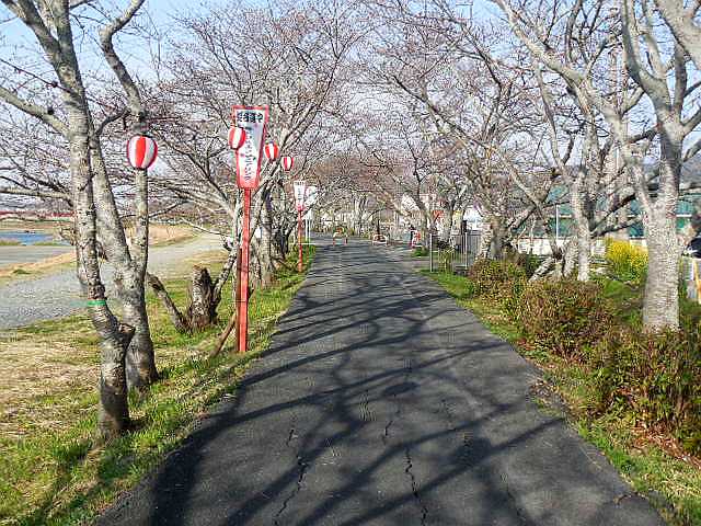 ���̉Ԃ̖���