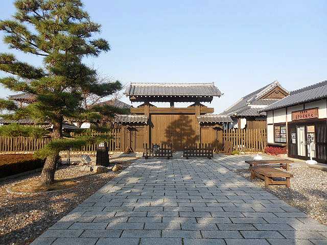 ���̉Ԃ̖���