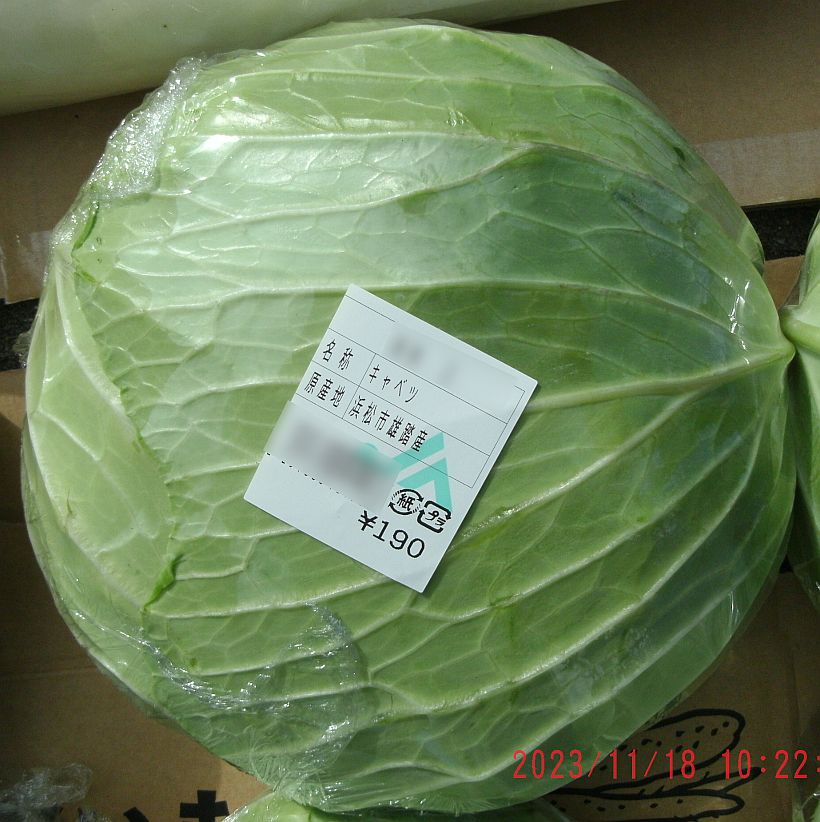 キャベツ