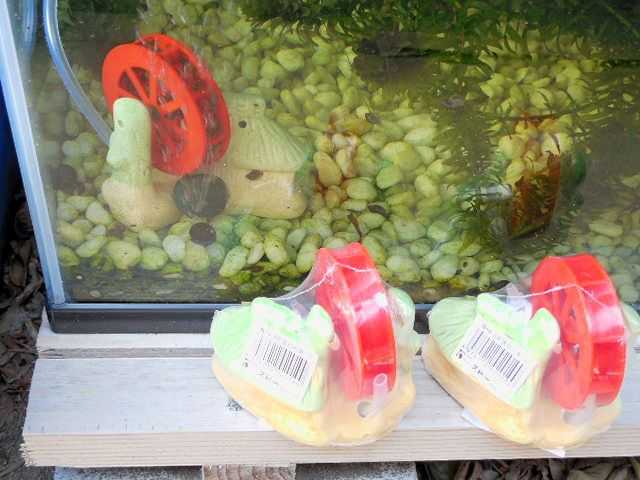 スドーの家付き水車