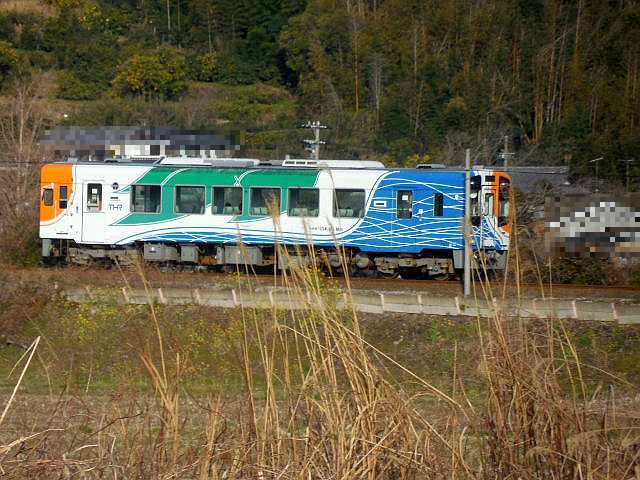 �V���l���ΓS��