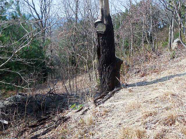 ���l���ΓW�]����