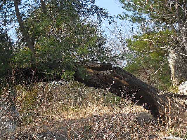 ���l���ΓW�]����