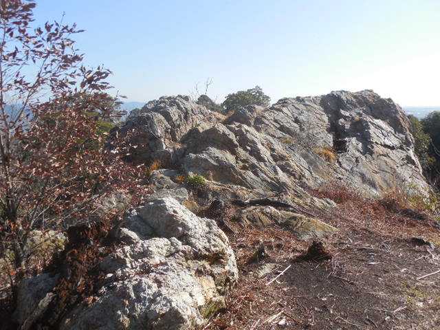 ���l���ΓW�]����