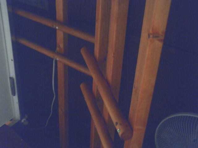 �g�C���̓�����Ɂu�肷��v��݂����ʐ^�Q