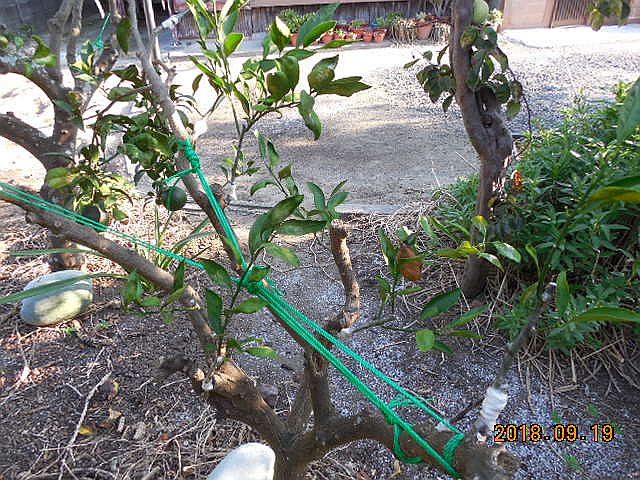 ���k�ނ̐ږ�