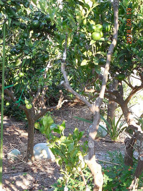 ���k�ނ̐ږ�