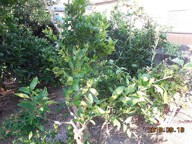 ���k�ނ̐ږ�