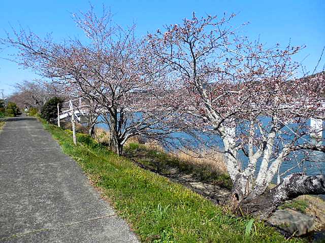 �t���܂Ƃ�