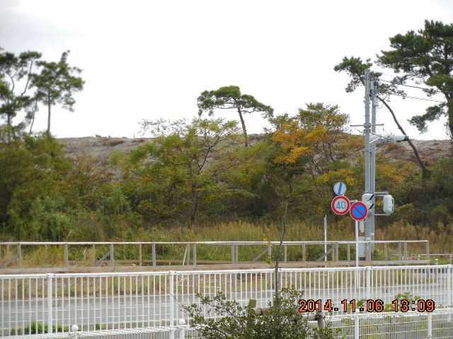 防風林の後の砂の山
