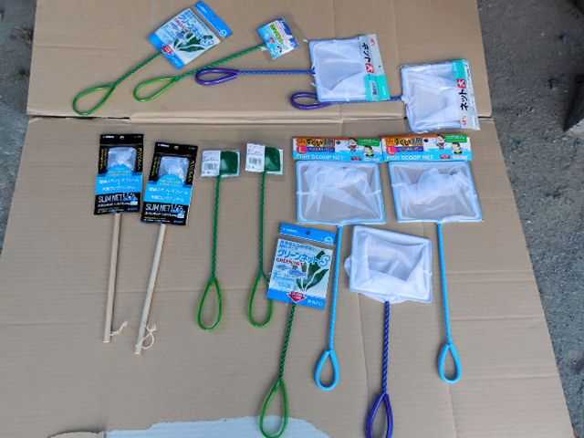 �����̒��̃��_�J��G�r���������グ���